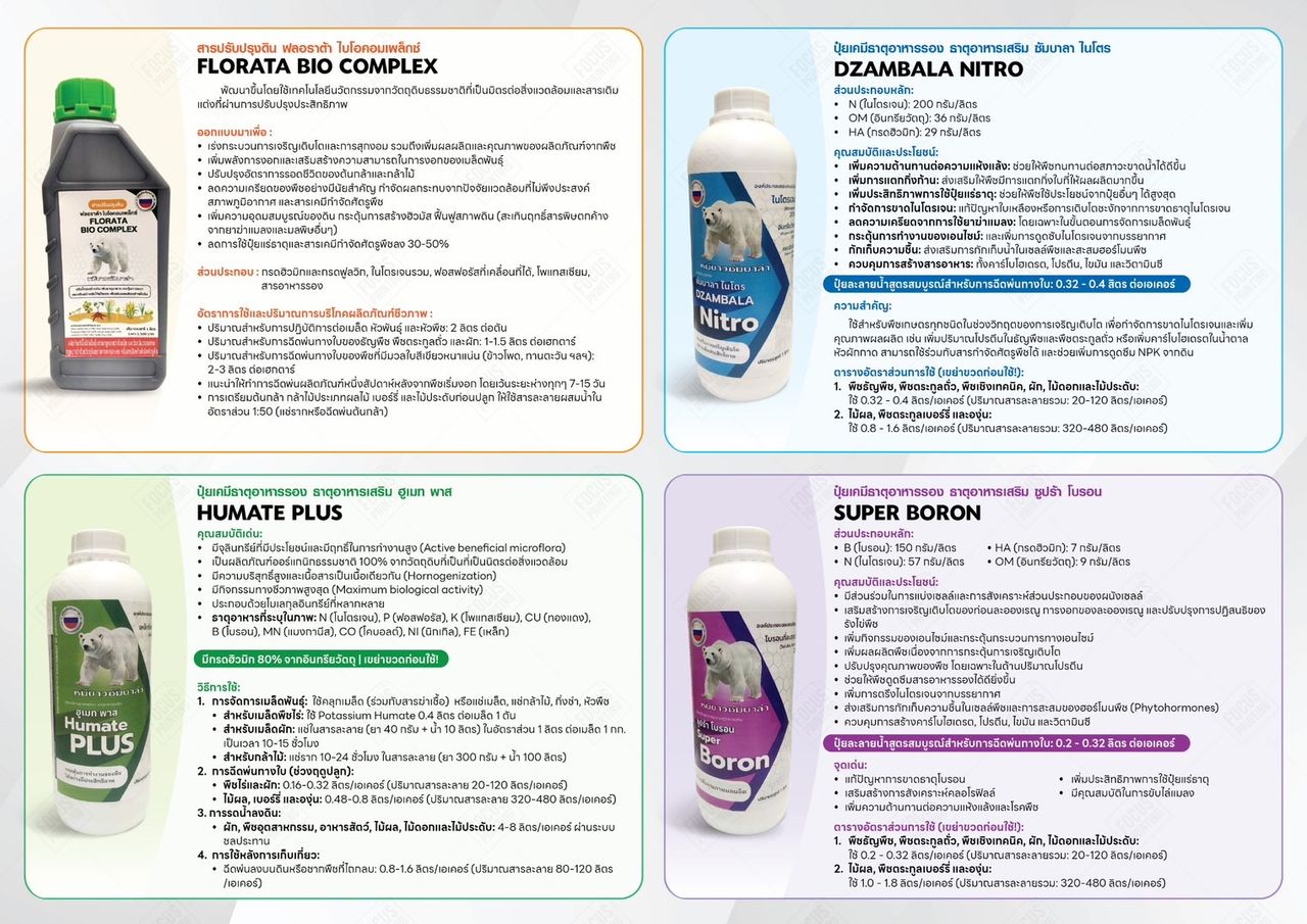 Brochure Page 2
